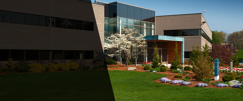 New Alexandria Landscapers