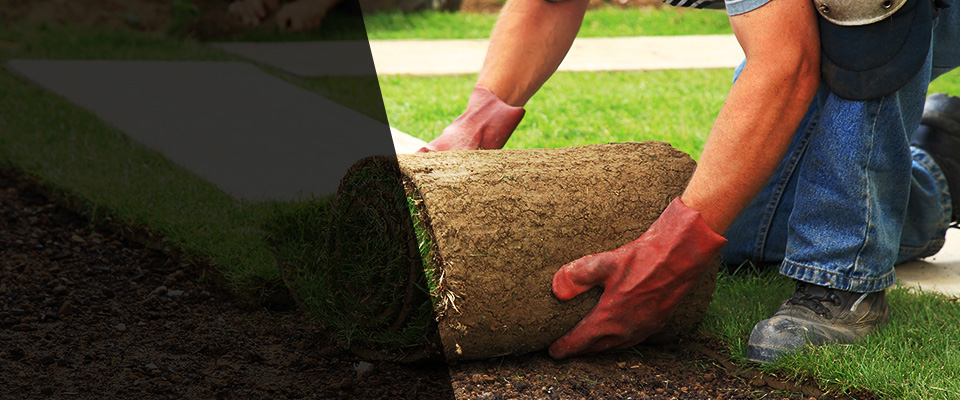 New Alexandria Landscapers